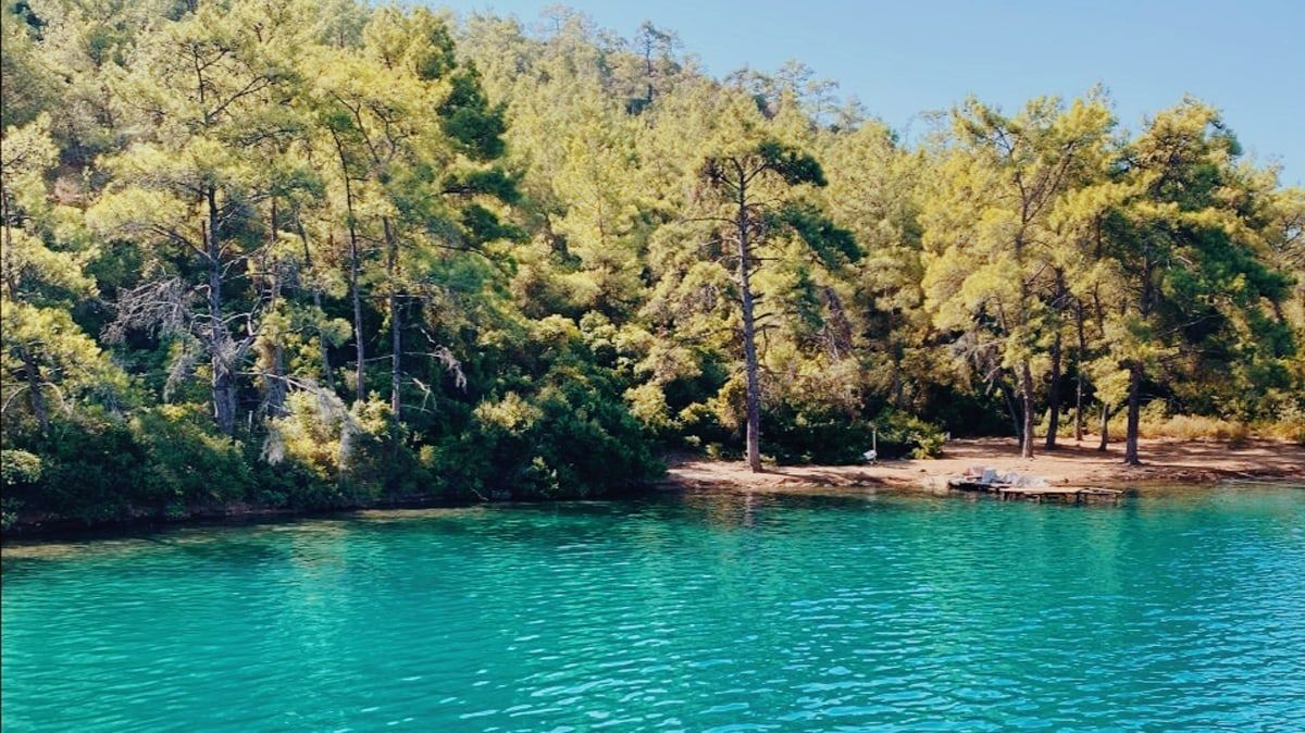 Gizli Cennetleri Keşfetme Zamanı: Ege ve Akdeniz'de 'Sarı Yaz' Başladı!