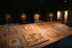 Zeugma Mozaik Müzesi Nerede