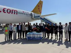 Pegasus Hava Yolları