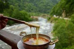 Rize'nin Mutfağı Geleceğe Taşınıyor: 5. Rize Gastronomi Etkinliği'nde Eşsiz Buluşma! - Otel Haberleri  Türkiye’nin Otel ve Turizm Gündemi Tek Adreste