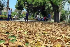 Antalya Turizminde 'Altın Sonbahar' Dönemi Başladı: Fiyatlar Yüzde 30'a Kadar Düştü! - Otel Haberleri  Türkiye’nin Otel ve Turizm Gündemi Tek Adreste